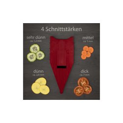 Vital Mandolinjern prof